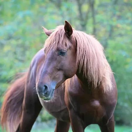 La Grange Blanche Saint-Germain