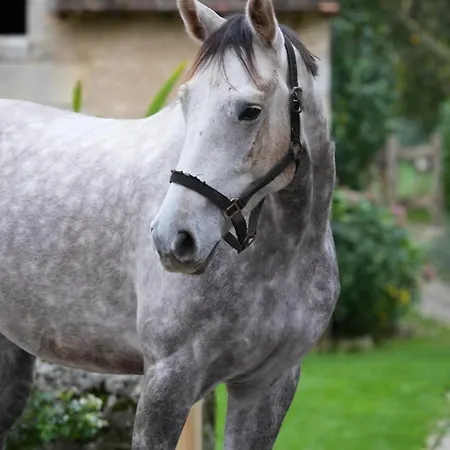 בית נופש La Grange Blanche *