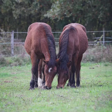 בית נופש La Grange Blanche *