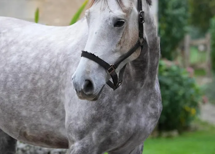 Prázdninový dům La Grange Blanche *