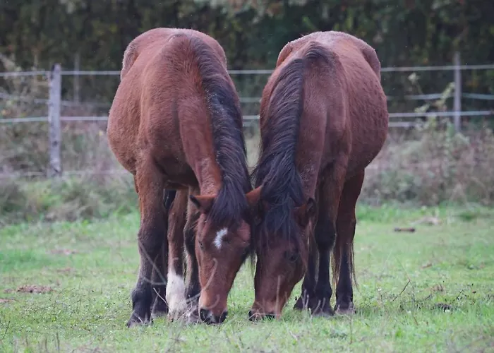 Prázdninový dům La Grange Blanche *